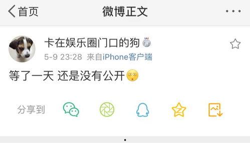 国内吃瓜爆料免费在线看中文版,免费在线观看吃瓜爆料中文版，尽享娱乐盛宴